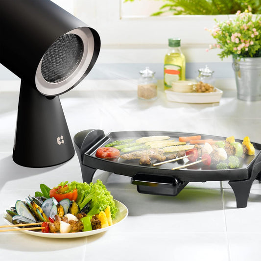 Portable Range Hood